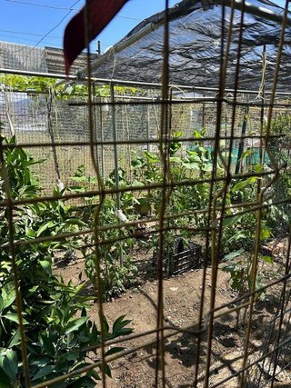Cortijo en venta en Berja