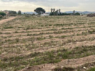 Casa rural en venta en Novelda