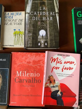 Lote de libros y novelas