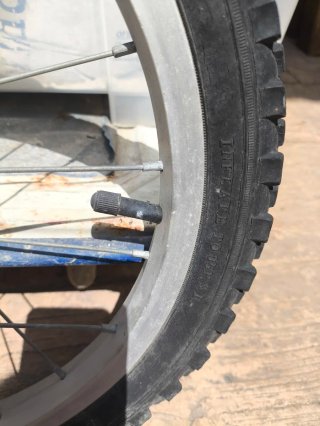 Ruedas Bici 16 (Delantera y Trasera)