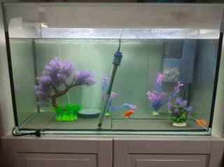 Acuario 100L