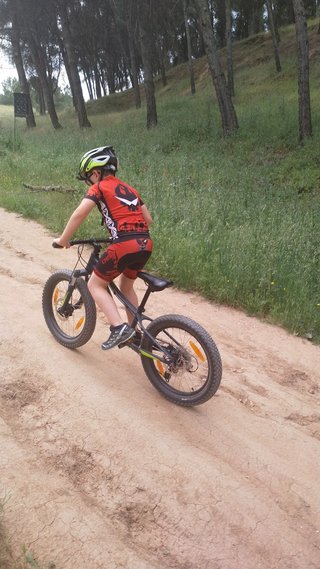 Bicicleta montaña infantil Specialized RipRock 20