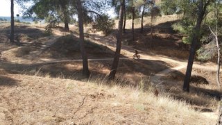 Bicicleta montaña infantil Specialized RipRock 20