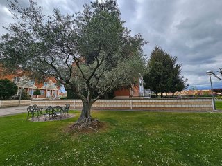 Casa pareada en venta en San Adrián - La Cava en Logroño