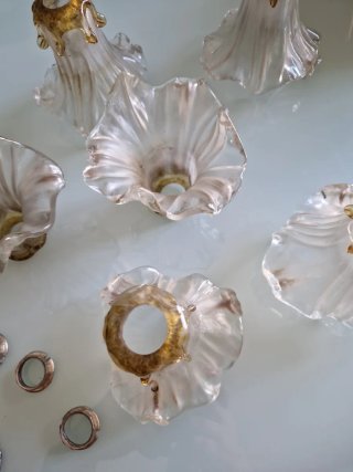 Tulipas de lámpara de cristal y tuercas