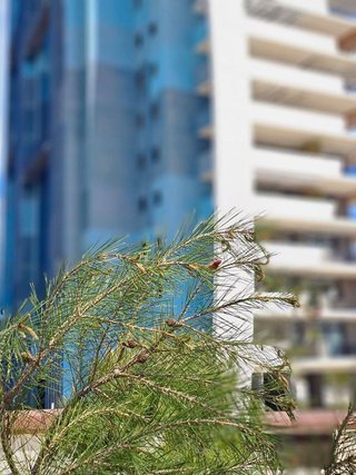 Piso en venta en Playa de Poniente en Benidorm