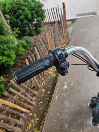 Triciclo Eléctrico