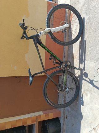 Bicicleta de Montaña