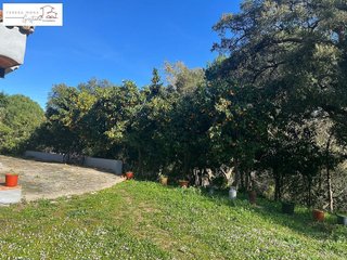 Casa rural en venta en Barrios (Los)