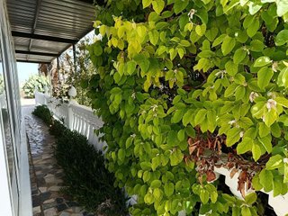 Casa en venta en Villena