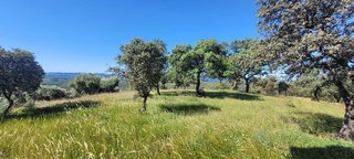 Casa rural en venta en Pozoblanco