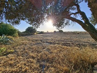 Casa rural en venta en Núcleo Urbano en Chiclana de la Frontera