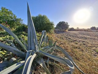 Casa rural en venta en Núcleo Urbano en Chiclana de la Frontera