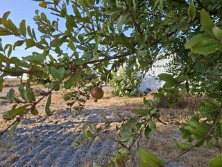 Casa rural en venta en Núcleo Urbano en Chiclana de la Frontera