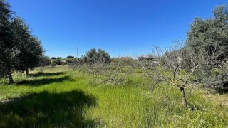Casa rural en venta en Crevillent