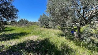 Casa rural en venta en Crevillent