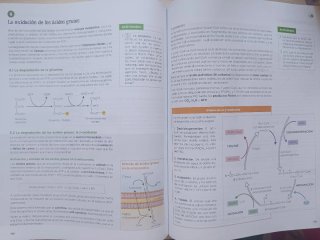 Biología 2° bachillerato, Operación Mundo