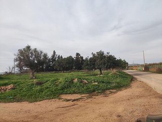 Casa rural en venta en Barrio de la Concepción en Cartagena