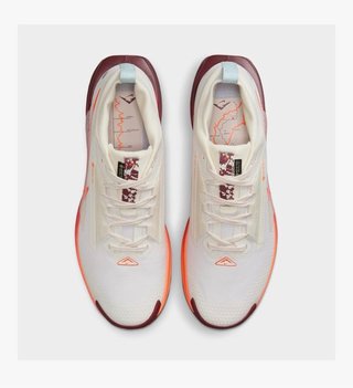 Nike Trail ATC GORE-TEX Naranja Blanco