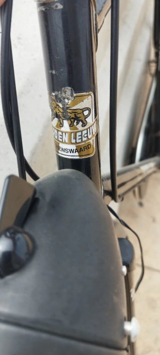 Bicicleta Holandesa Gouden Leeuw Negra