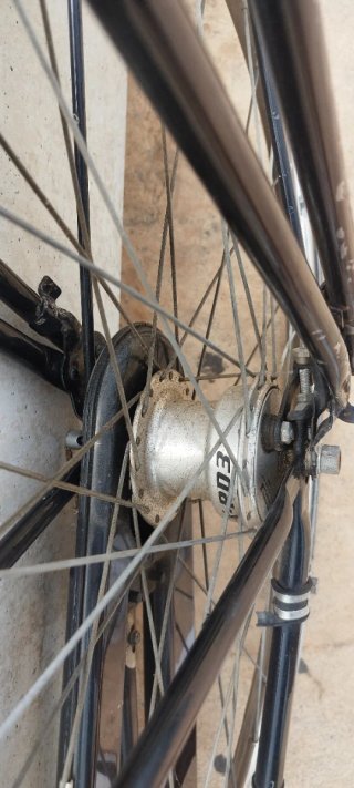 Bicicleta Holandesa Gouden Leeuw Negra