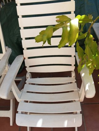 2 Sillones Terraza PVC Plegables Blancos