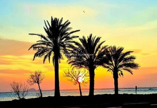 Piso en venta en Port Esportiu - Puig Rom - Canyelles en Roses