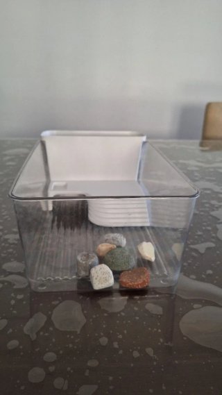 Pecera tortugas casi nueva