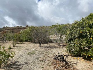 Casa rural en venta en Cruz de Tea en Granadilla de Abona