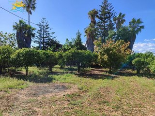Chalet en venta en Zona Papa Luna - Platja del Gurugú en Benicarló