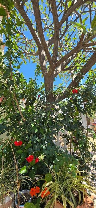 Casa pareada en venta en Polígonos - Recinto Ferial Cortijo de Torres en Málaga