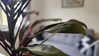 Piso en venta en Cee
