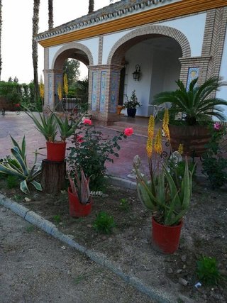 Casa rural en venta en Lebrija