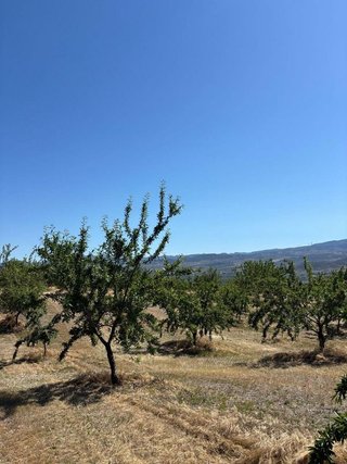 Casa rural en venta en Padul