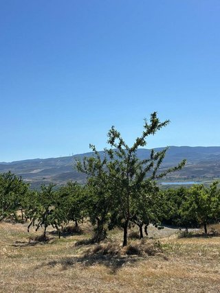 Casa rural en venta en Padul