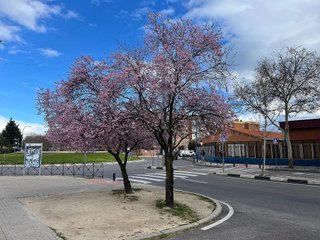 Piso en venta en San Nicasio - Campo de Tiro - Solagua en Leganés