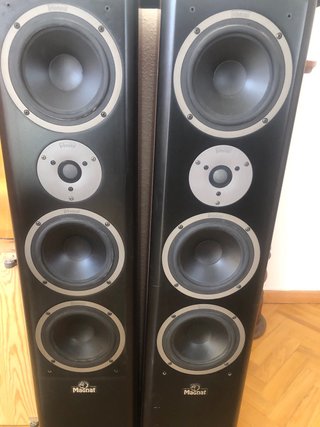 Altavoces Magnat Vector 77 - 3 vías