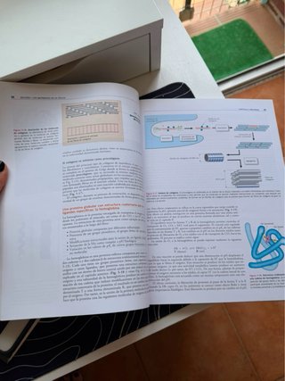 Libro: Bioquímica. Conceptos esenciales