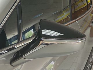 Lexus UX 300e Executive