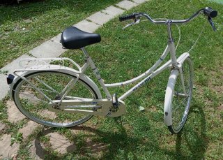 Bicicleta GAC plegable verde