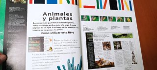 Los animales y las plantas