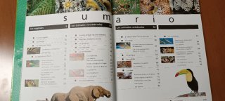 Los animales y las plantas