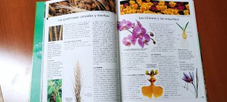 Los animales y las plantas