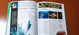 Los animales y las plantas