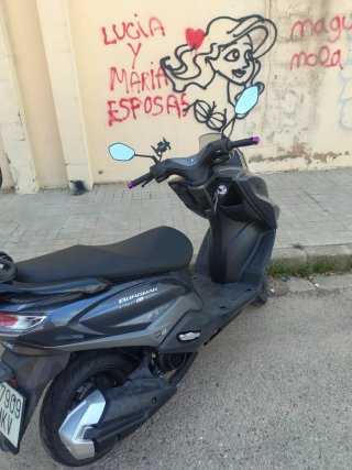 Suzuki Burgman Street EX Gris