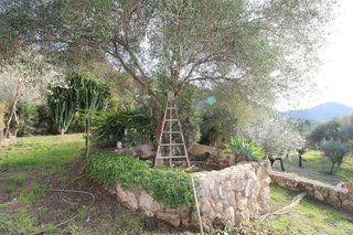Casa rural en venta en Andratx Pueblo en Andratx