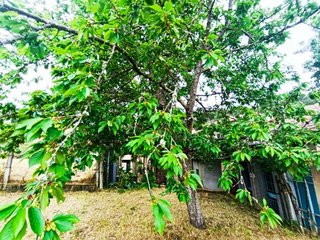 Casa en venta en Barbadás