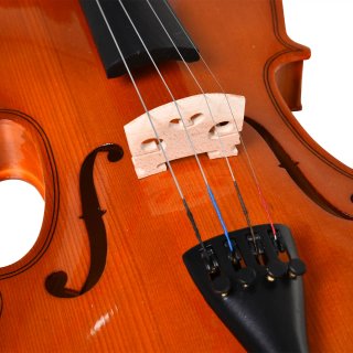 Violino 4/4 per Adulti con Accessori Inclusi