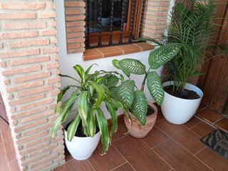Casa pareada en venta en La Granja-La Colina-Los Pastores en Algeciras