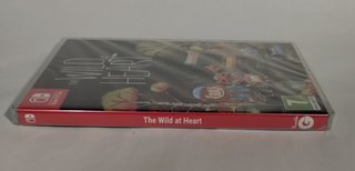 The Wild at Heart Nintendo Switch PAL ES